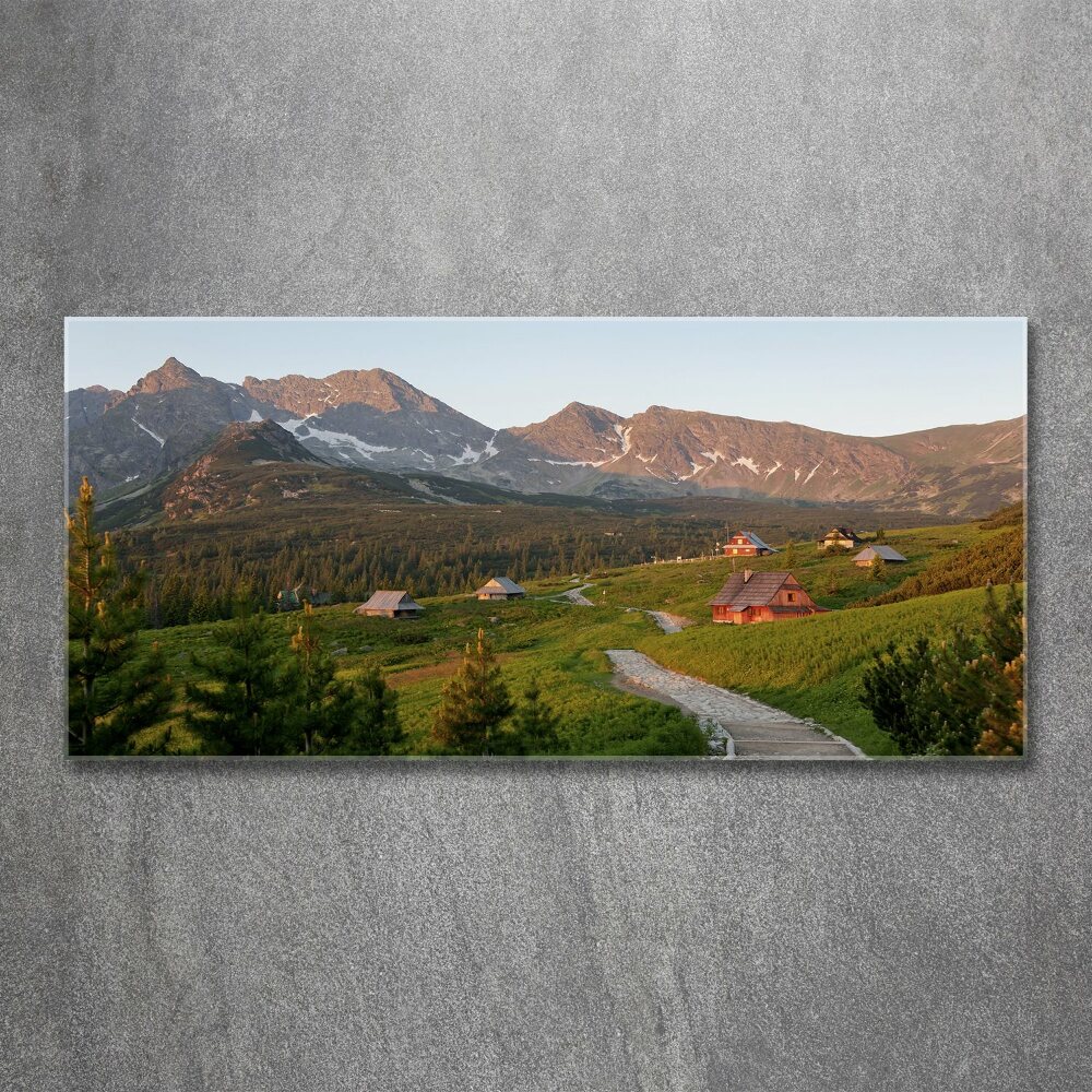 Acrylique tableau Clairière dans les Tatras