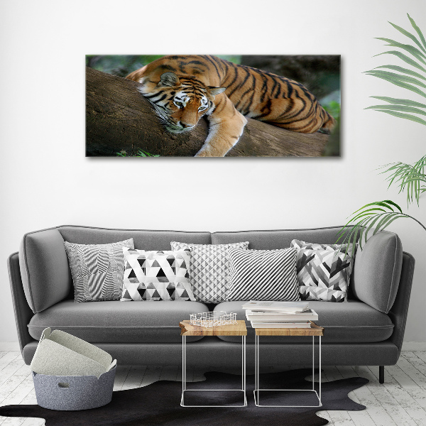 Tableau sur verre acrylique Tigre sur un arbre