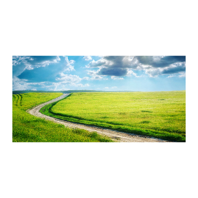 Tableau en acrylique Chemin dans la prairie