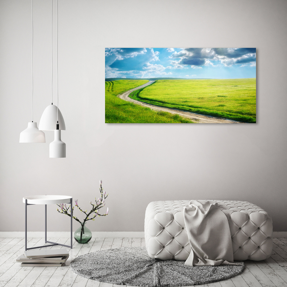 Tableau en acrylique Chemin dans la prairie