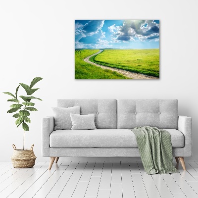 Tableau en acrylique Chemin dans la prairie