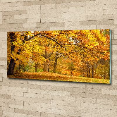 Tableau verre acrylique Automne dans le parc