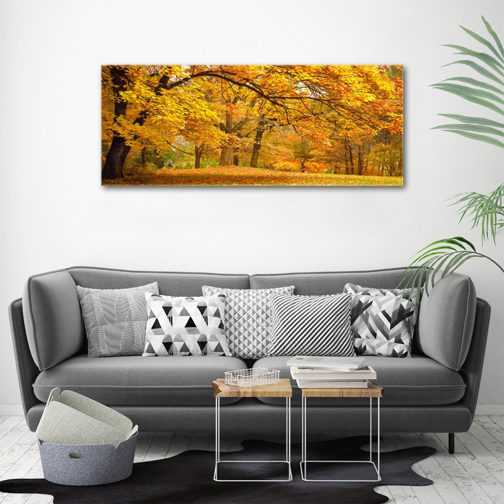 Tableau verre acrylique Automne dans le parc