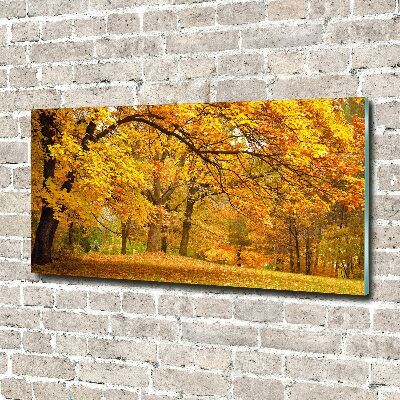 Tableau verre acrylique Automne dans le parc