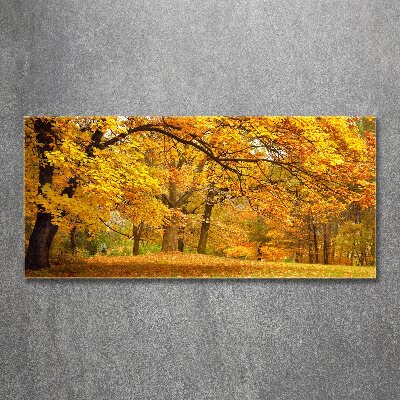 Tableau verre acrylique Automne dans le parc