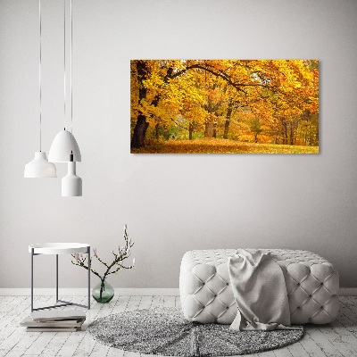 Tableau verre acrylique Automne dans le parc