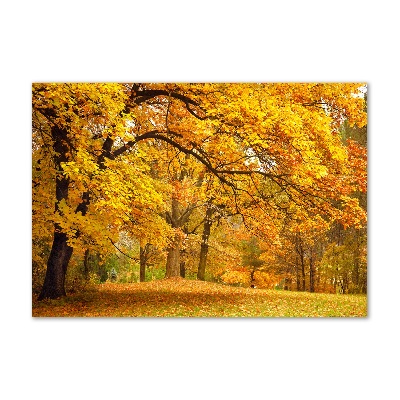 Tableau verre acrylique Automne dans le parc