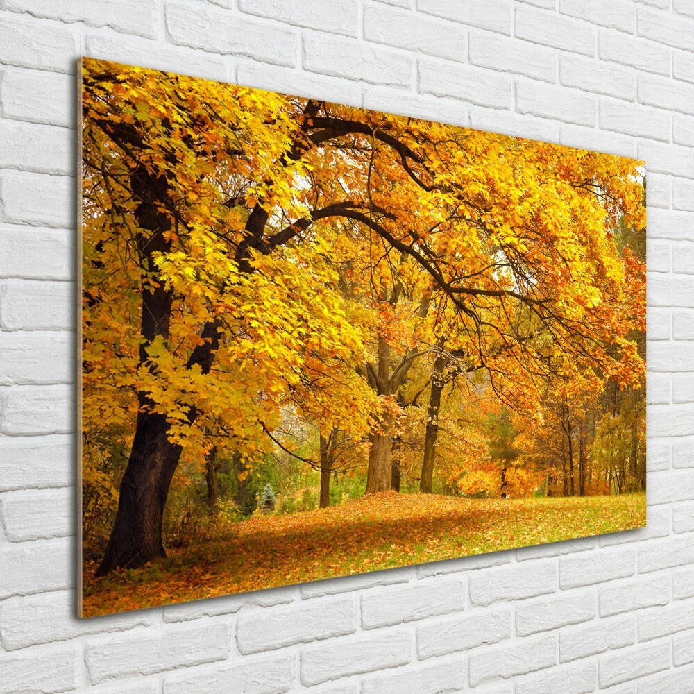 Tableau verre acrylique Automne dans le parc