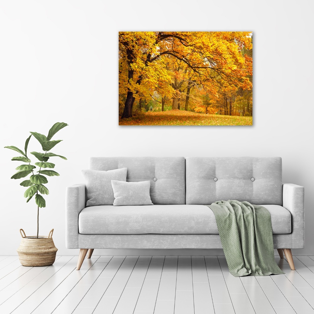 Tableau verre acrylique Automne dans le parc