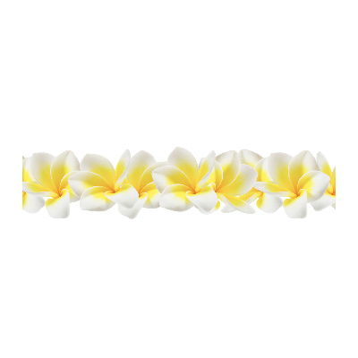 Tableau verre acrylique Plumeria