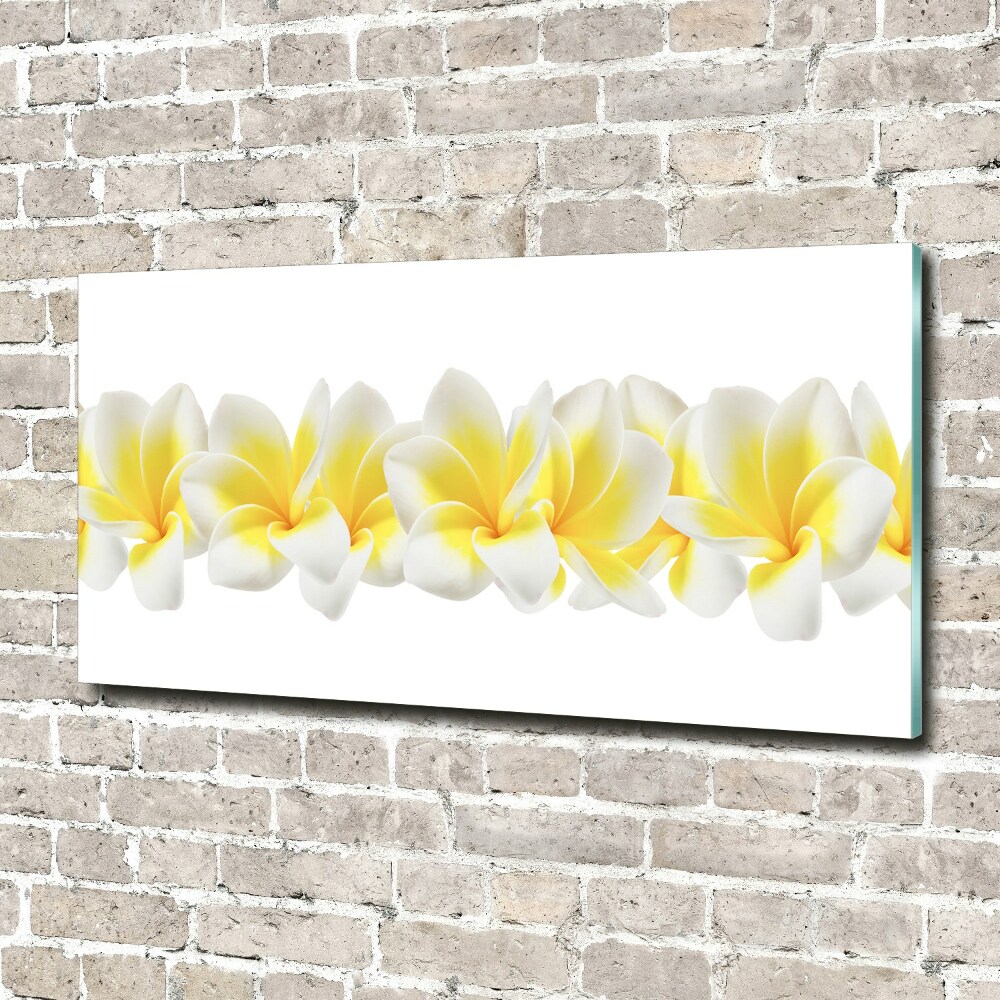 Tableau verre acrylique Plumeria