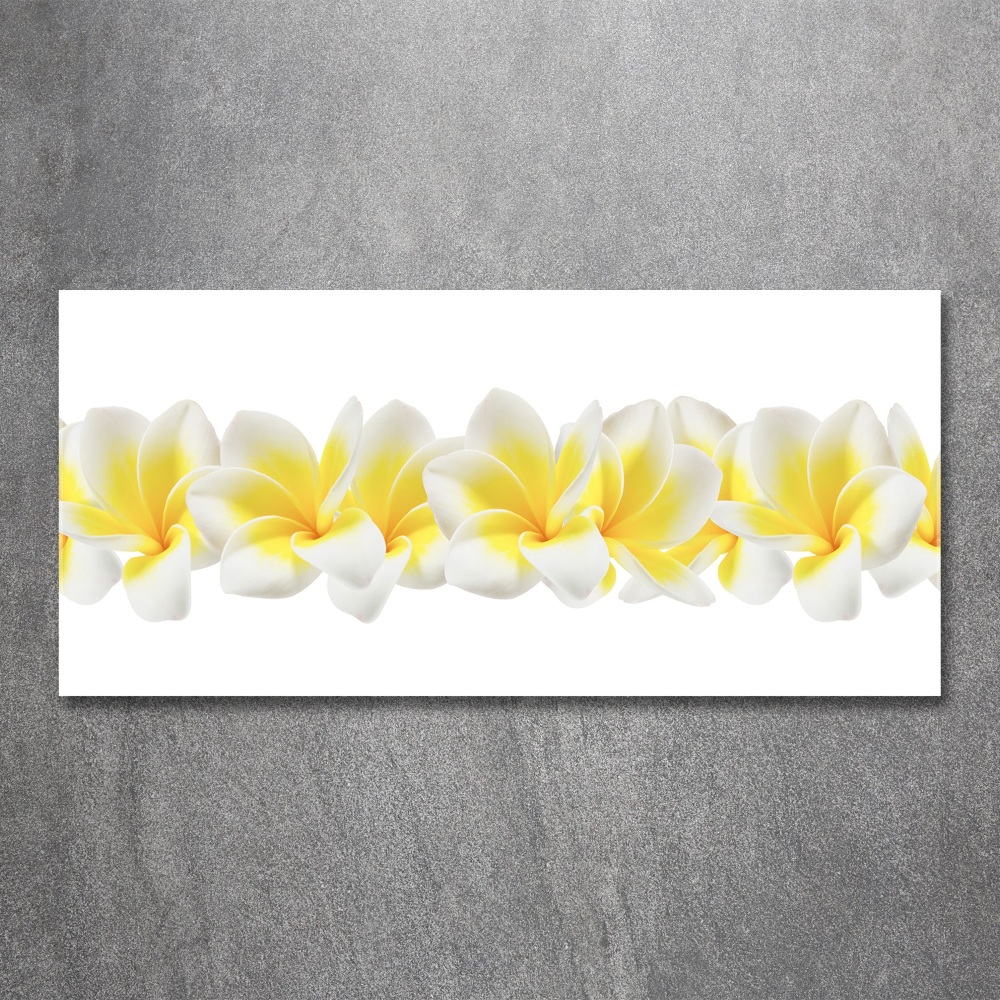 Tableau verre acrylique Plumeria