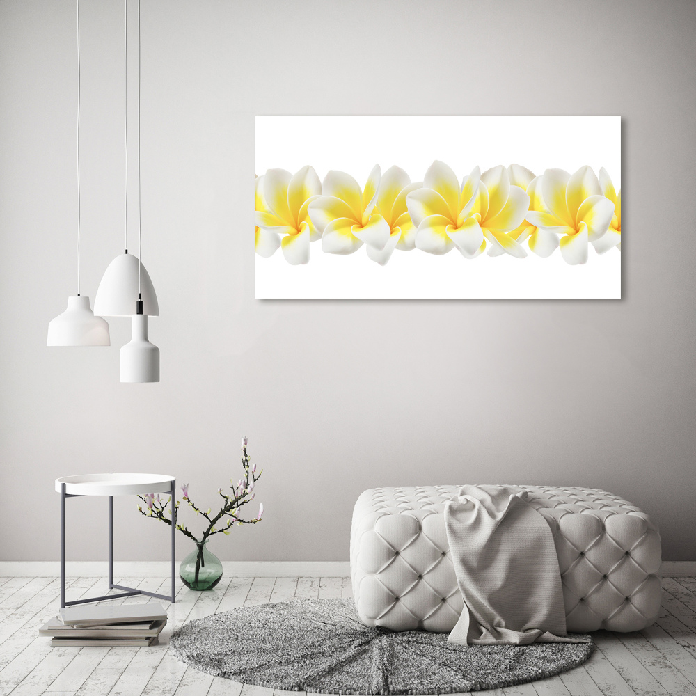 Tableau verre acrylique Plumeria