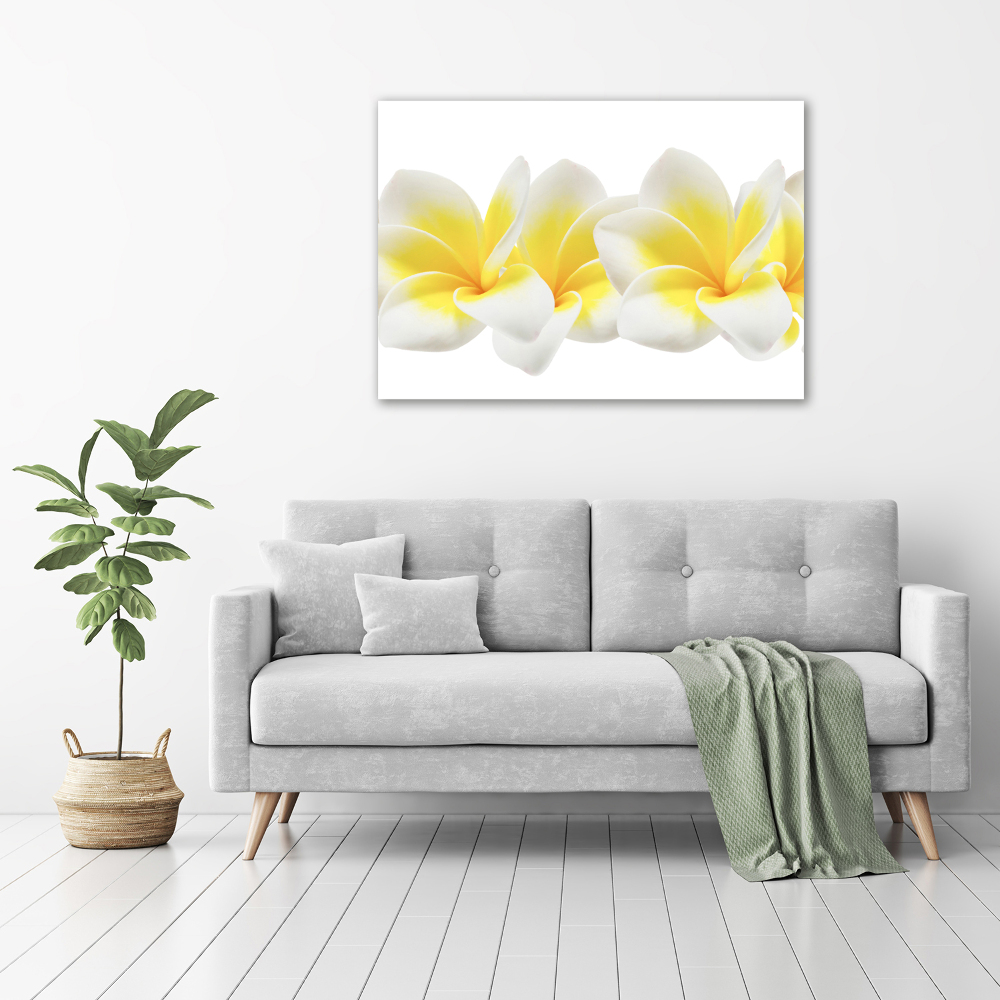 Tableau verre acrylique Plumeria