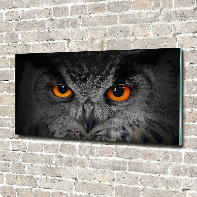 Tableau en acrylique Oeil de hibou diabolique