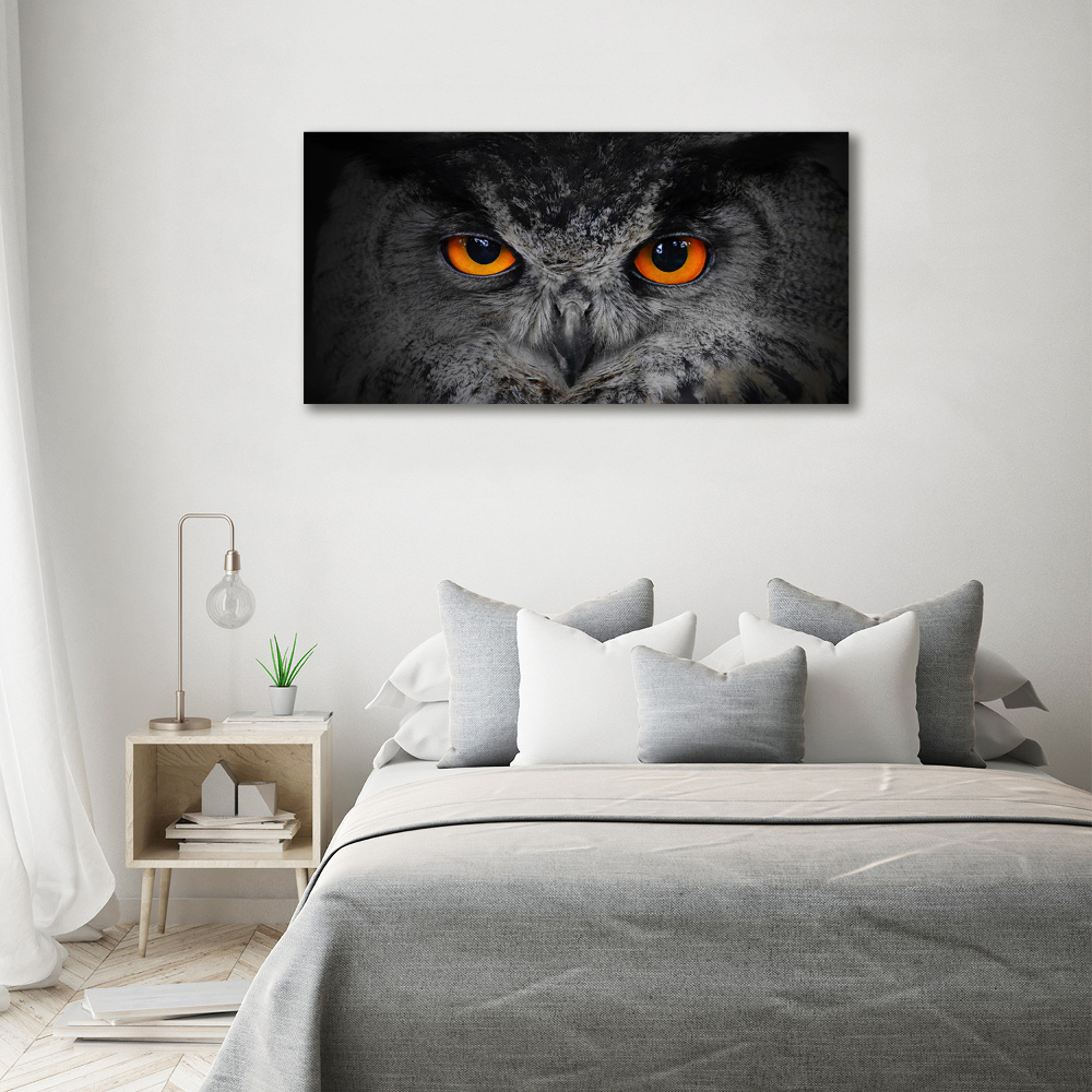 Tableau en acrylique Oeil de hibou diabolique