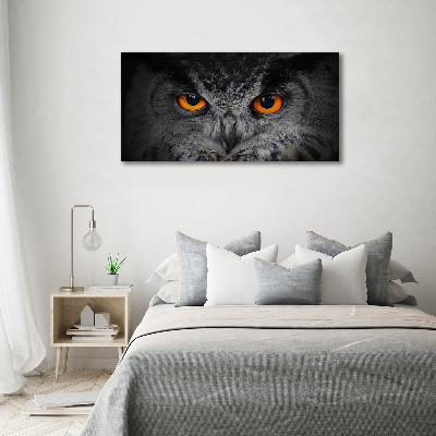 Tableau en acrylique Oeil de hibou diabolique