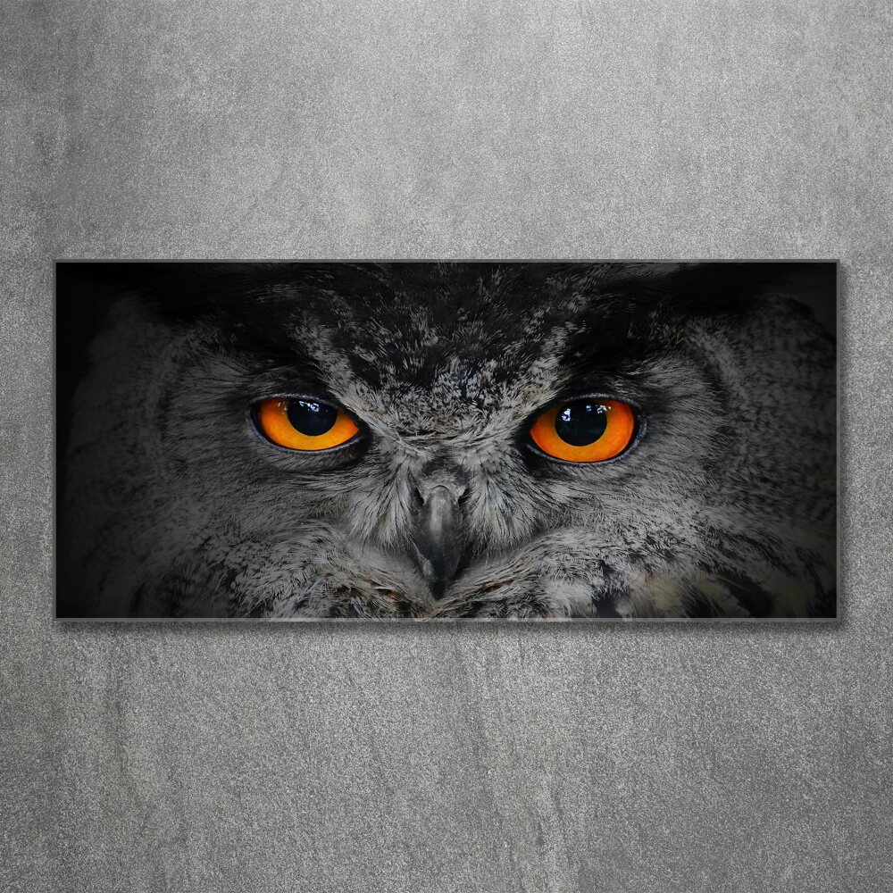 Tableau en acrylique Oeil de hibou diabolique