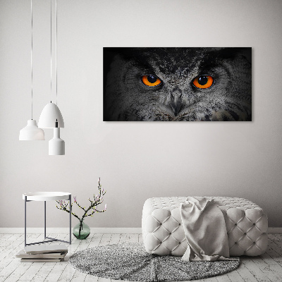 Tableau en acrylique Oeil de hibou diabolique