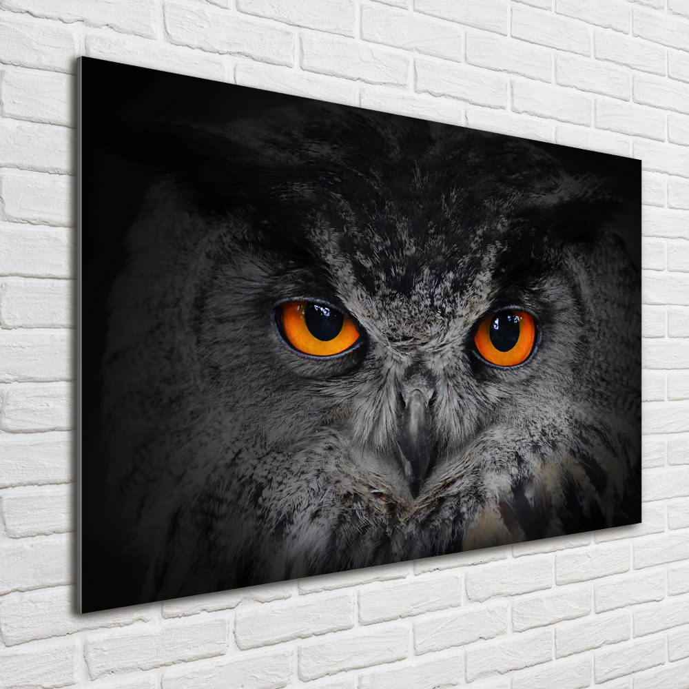 Tableau en acrylique Oeil de hibou diabolique