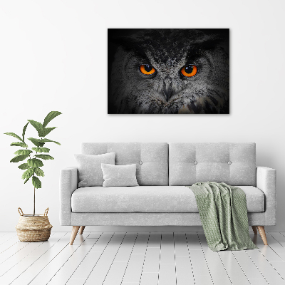 Tableau en acrylique Oeil de hibou diabolique