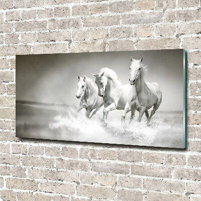 Tableau verre acrylique Chevaux blancs