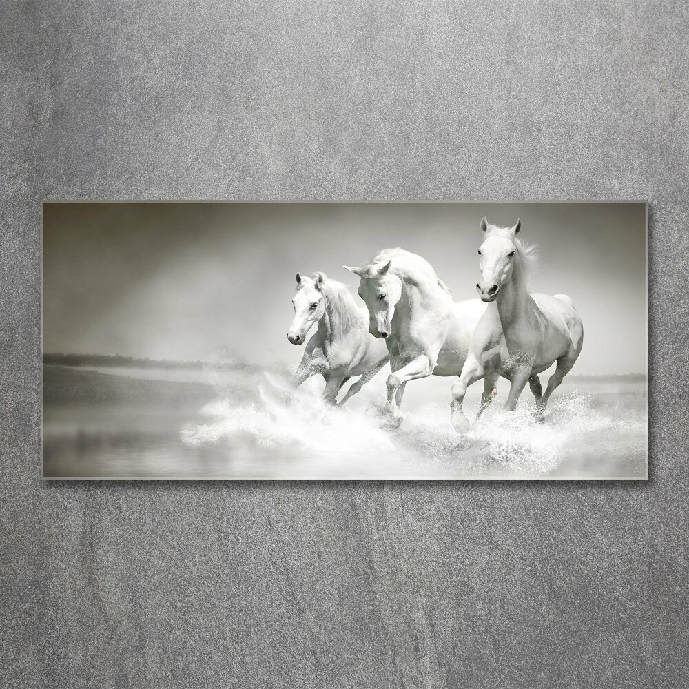 Tableau verre acrylique Chevaux blancs