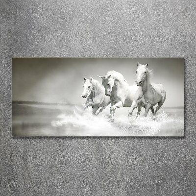 Tableau verre acrylique Chevaux blancs