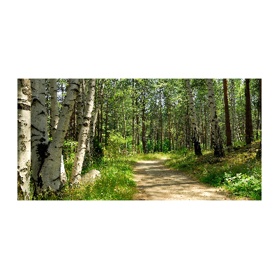 Acrylique tableau Sentier dans la forêt