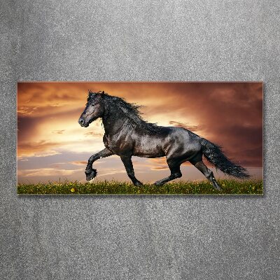 Acrylique tableau Cheval au trot