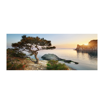 Tableau en acrylique Arbre au bord de la mer