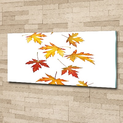 Tableau en acrylique Feuilles d'automne