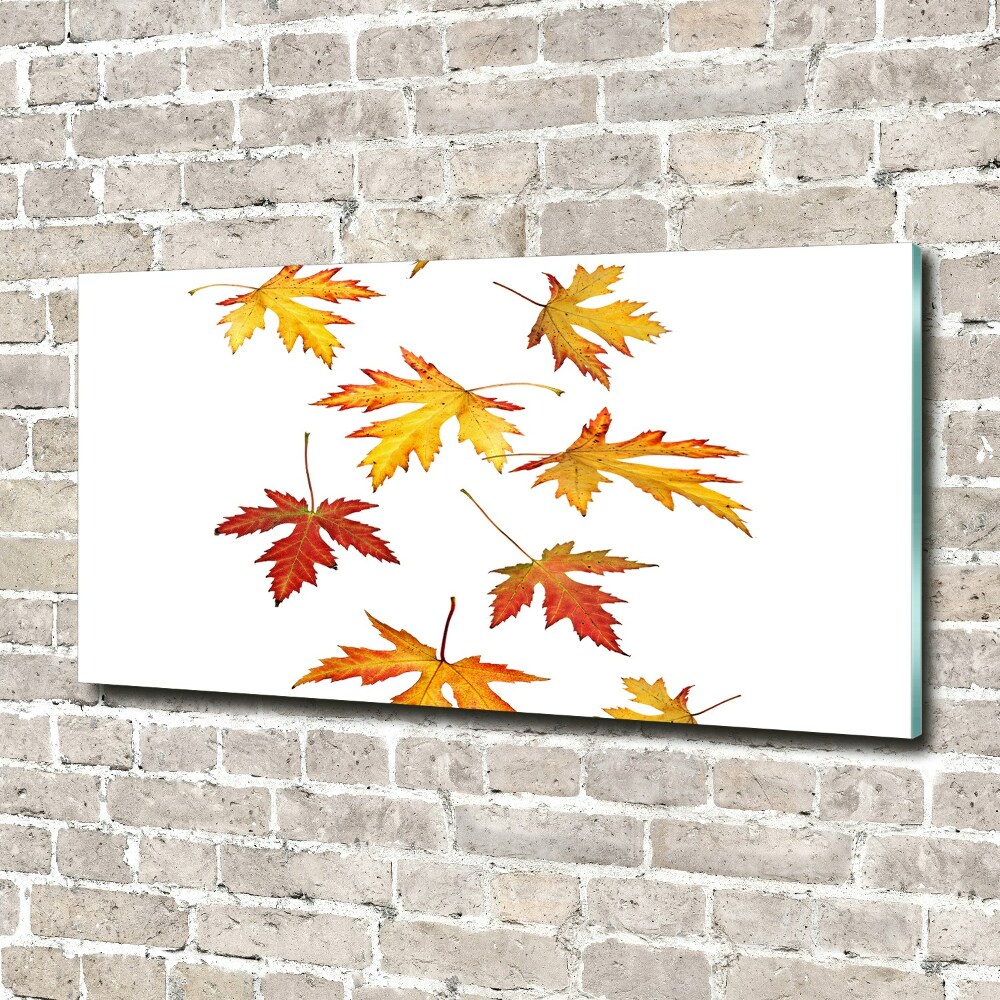 Tableau en acrylique Feuilles d'automne