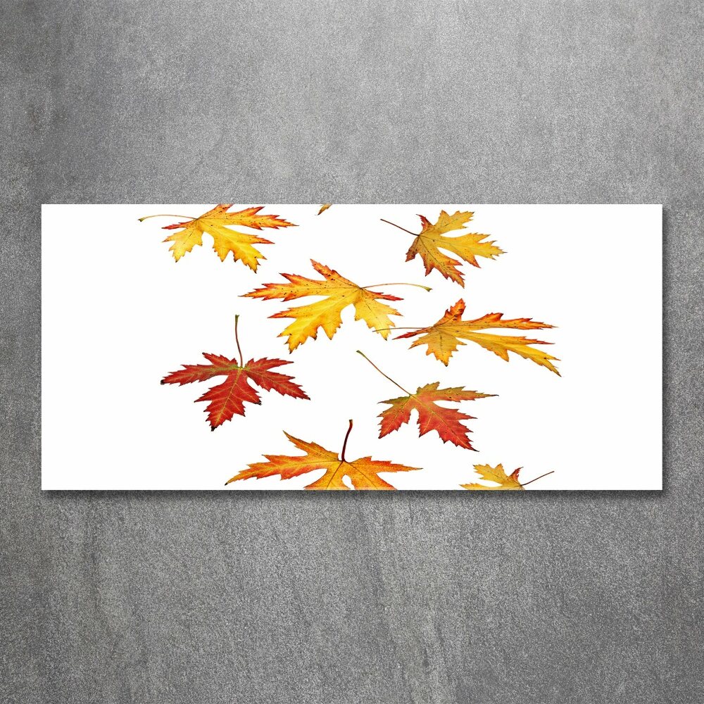 Tableau en acrylique Feuilles d'automne