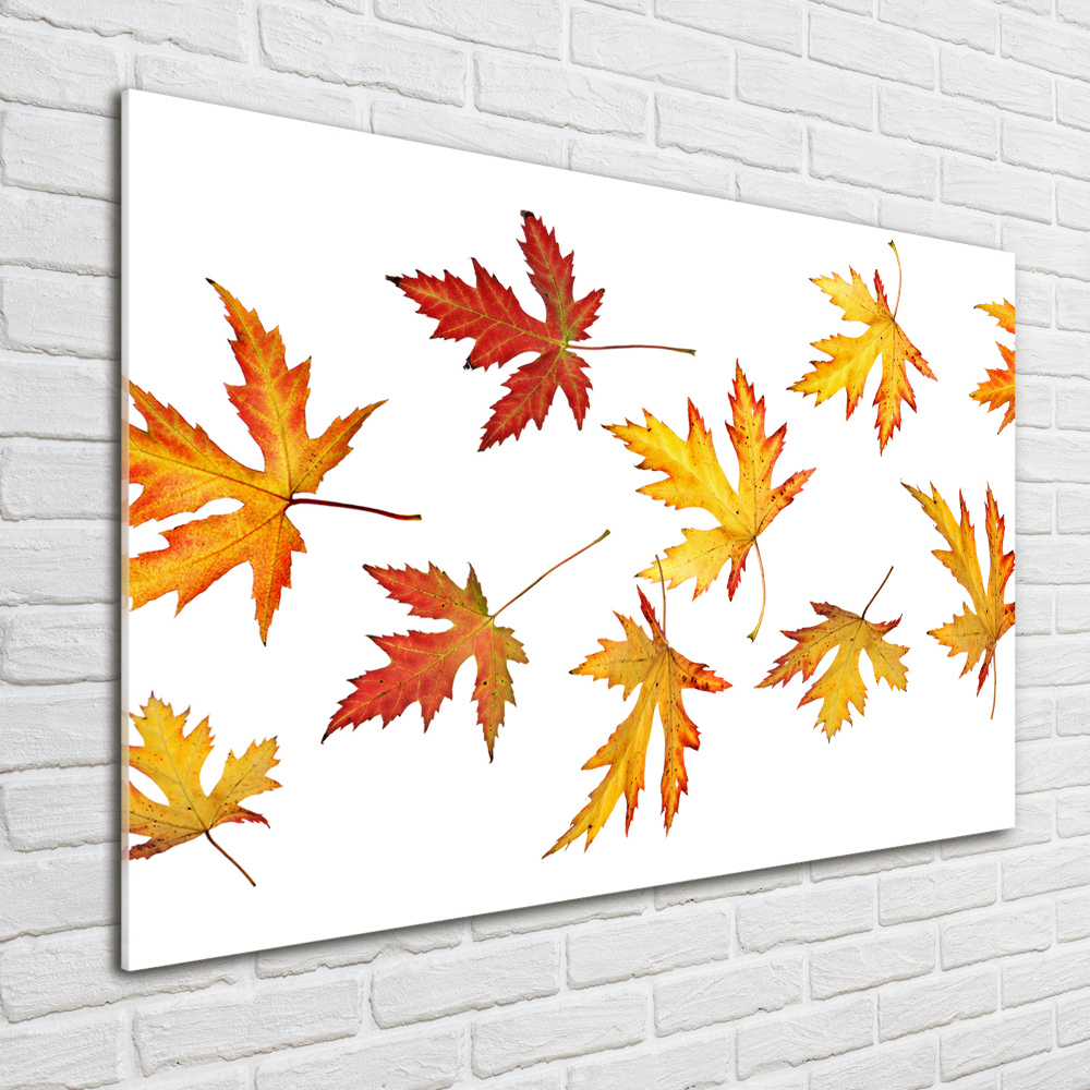 Tableau en acrylique Feuilles d'automne