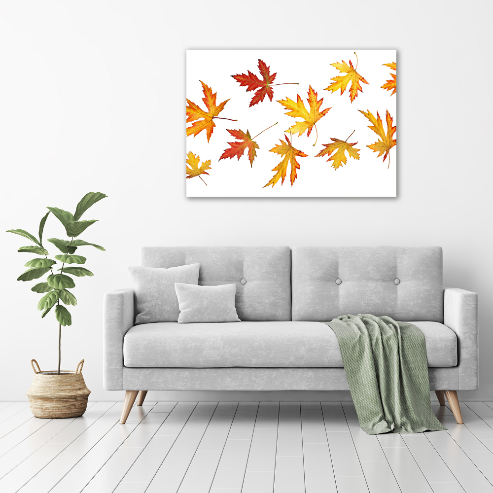 Tableau en acrylique Feuilles d'automne