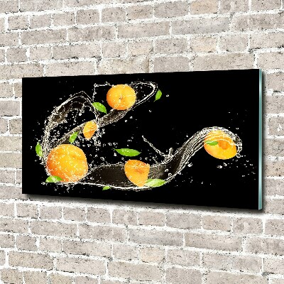 Tableau en acrylique Abricots et eau