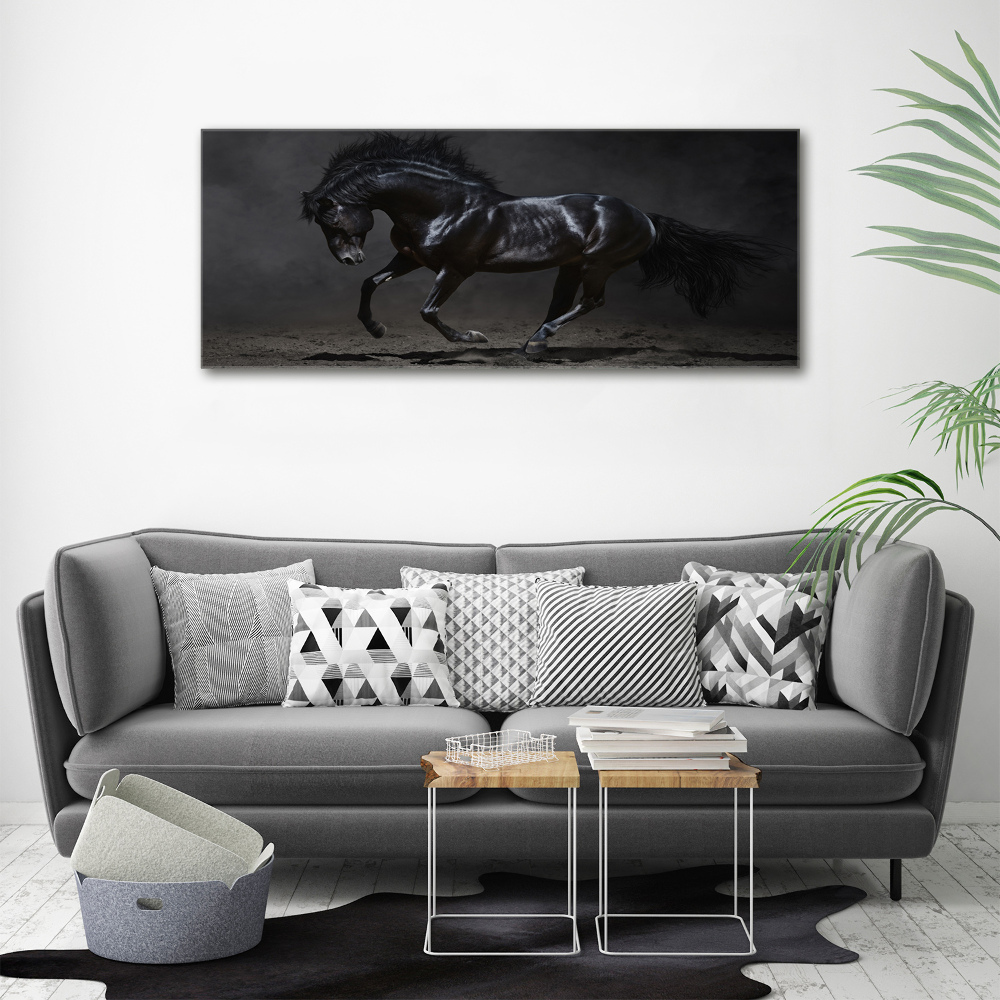 Tableau sur verre acrylique Cheval noir