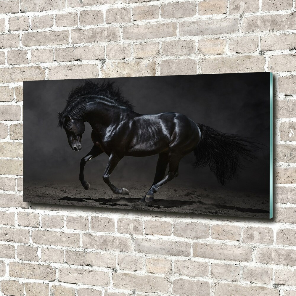 Tableau sur verre acrylique Cheval noir