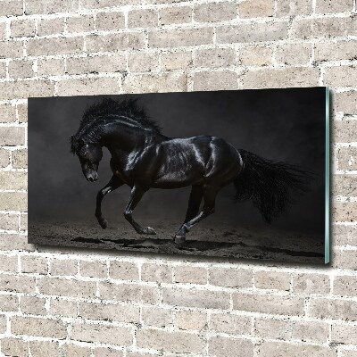 Tableau sur verre acrylique Cheval noir