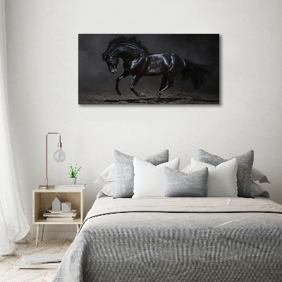 Tableau sur verre acrylique Cheval noir