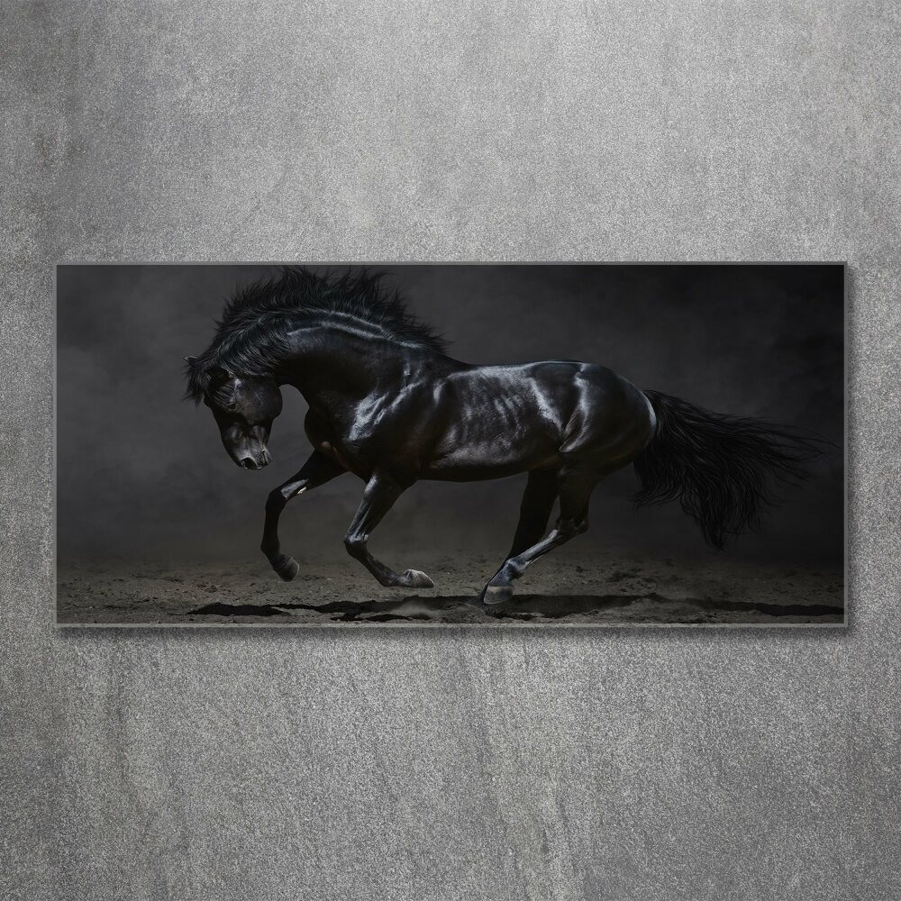 Tableau sur verre acrylique Cheval noir