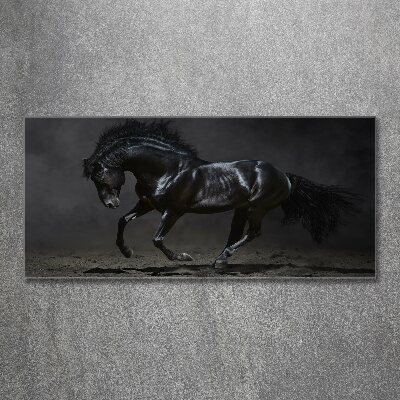 Tableau sur verre acrylique Cheval noir