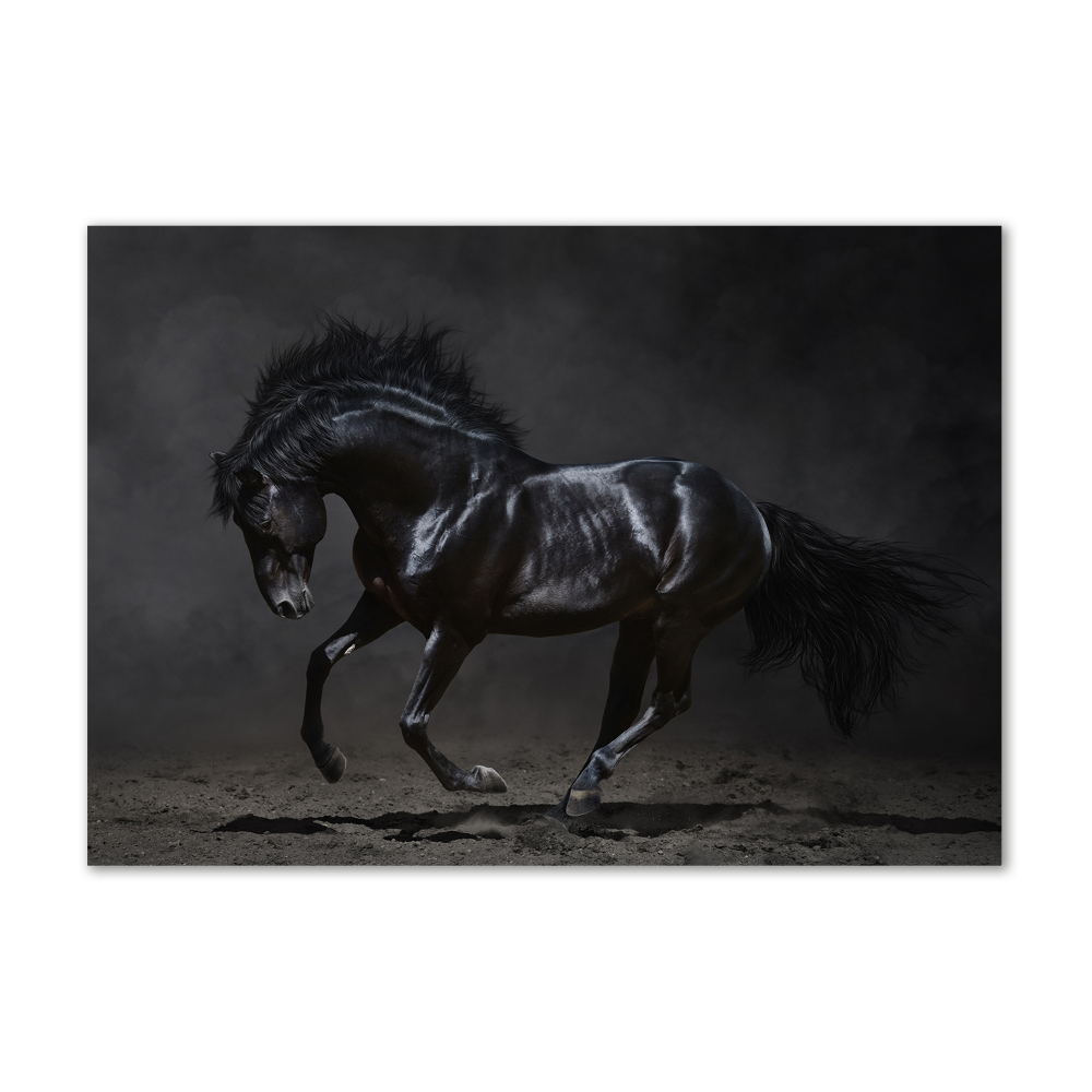 Tableau sur verre acrylique Cheval noir