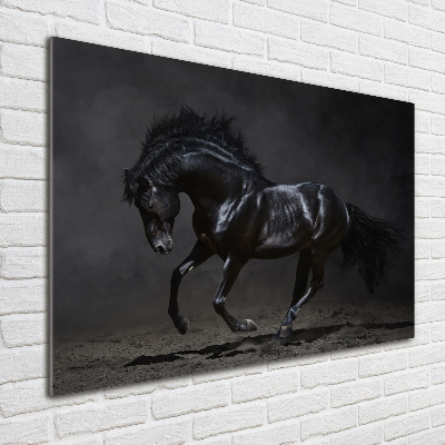 Tableau sur verre acrylique Cheval noir