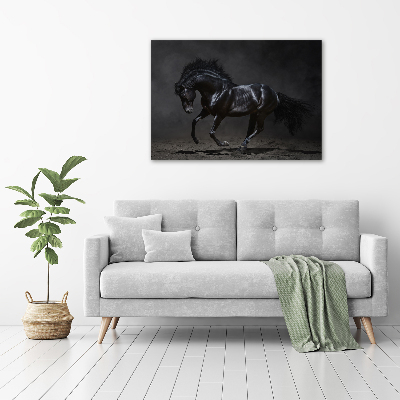 Tableau sur verre acrylique Cheval noir