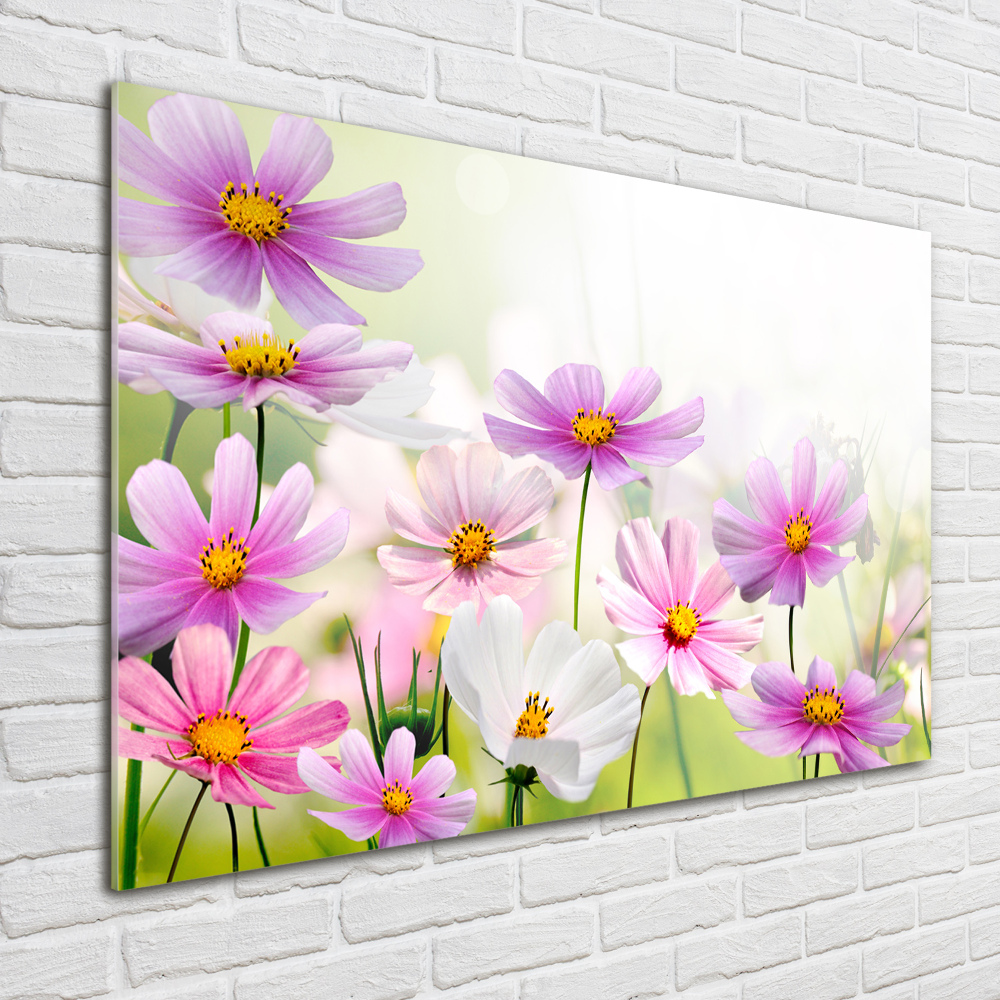 Tableau sur verre acrylique Fleurs dans un pré