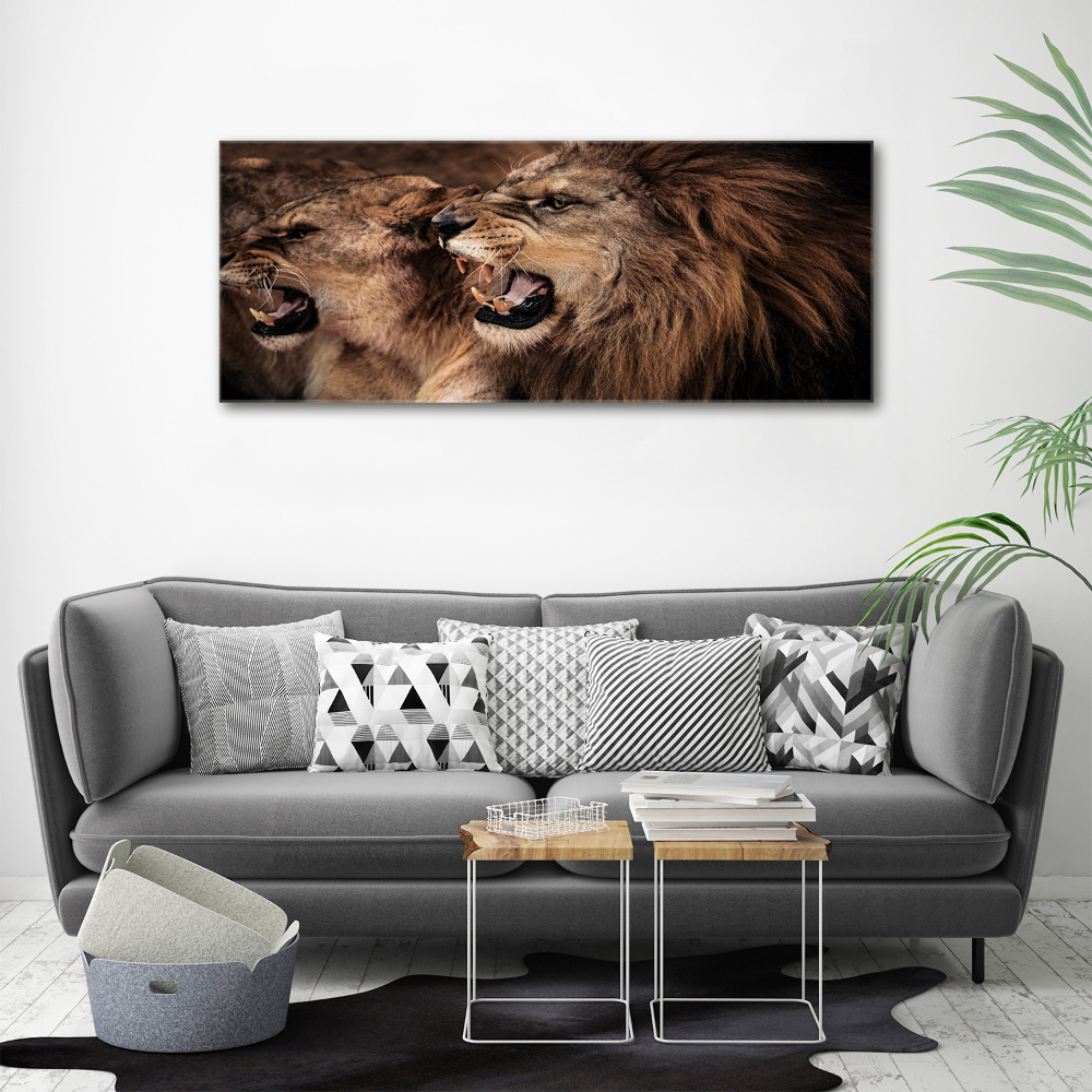 Tableau acrylique Lions rugissants