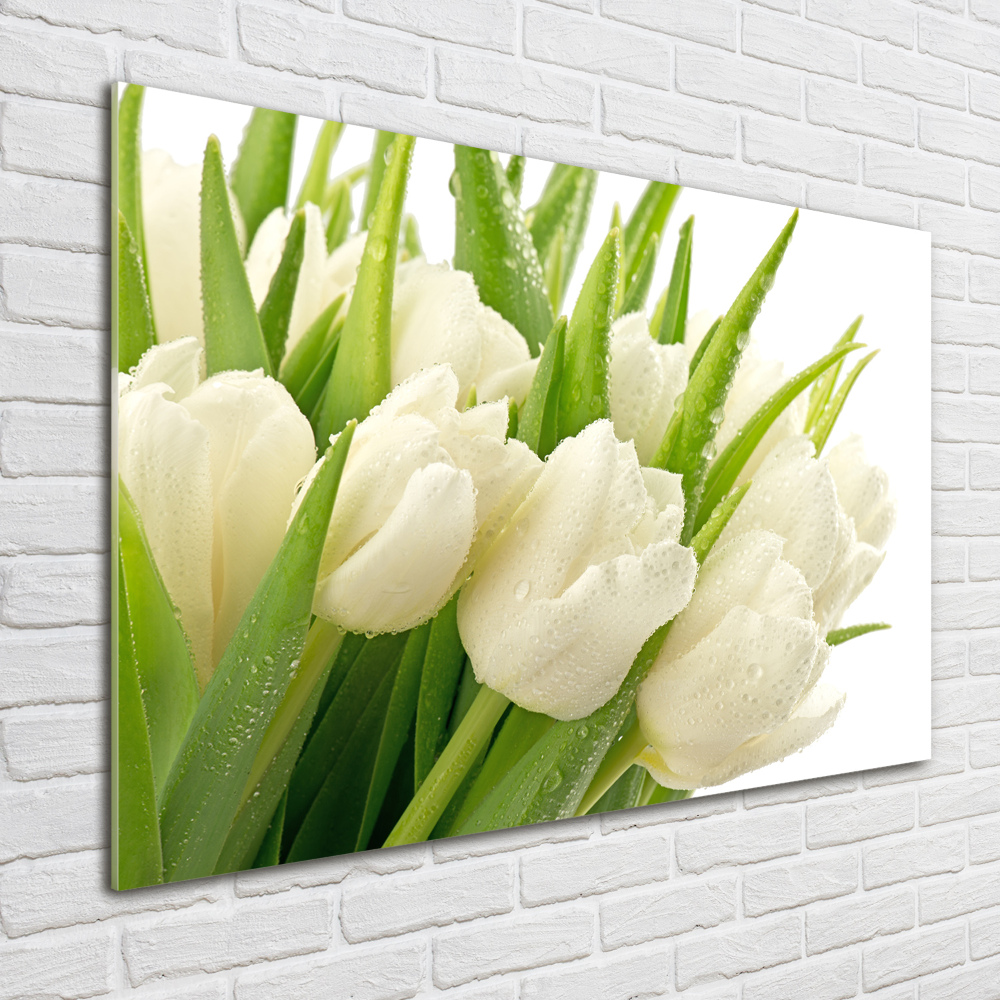 Tableau en acrylique Tulipes blanches