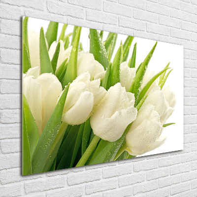 Tableau en acrylique Tulipes blanches